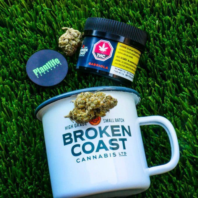 Plant Life Cannabis Products with Mug